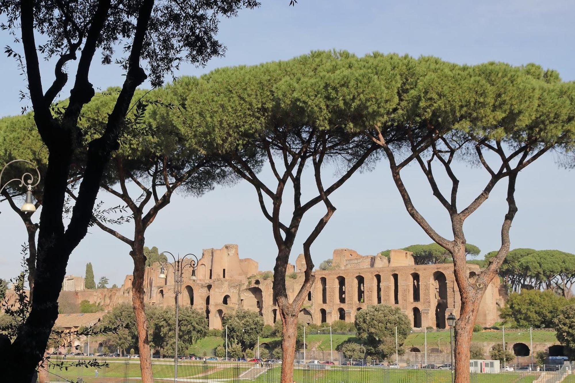 Appartamento Ych-exclusive On Circus Maximus